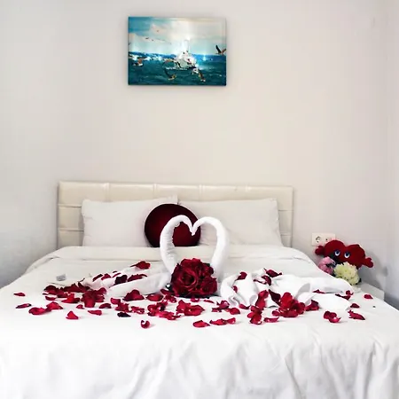 Apartment Fatih *